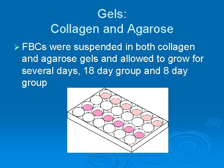 Gels: Collagen and Agarose Ø FBCs were suspended in both collagen and agarose gels