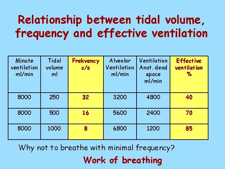 Relationship between tidal volume, frequency and effective ventilation Minute ventilation ml/min Tidal volume ml