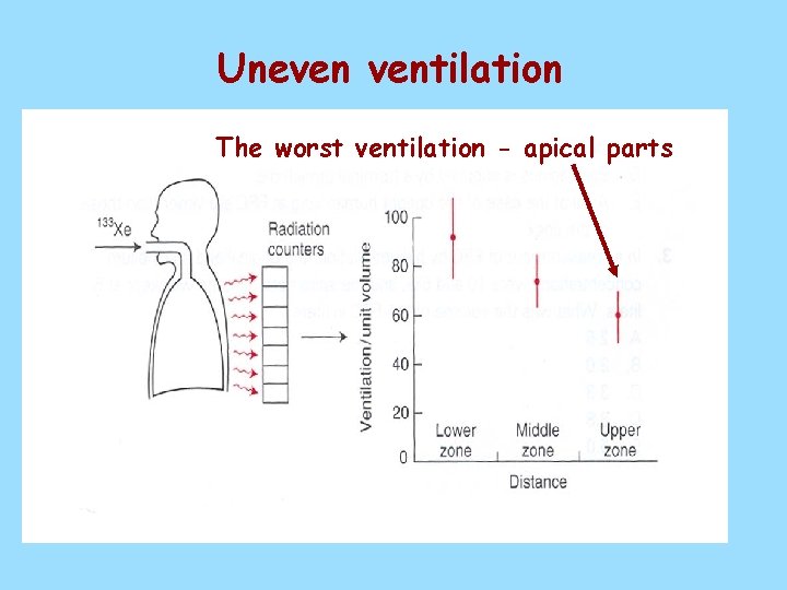 Uneven ventilation The worst ventilation - apical parts 