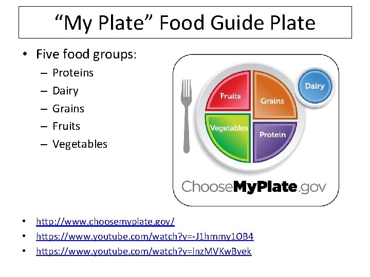 “My Plate” Food Guide Plate • Five food groups: – – – Proteins Dairy