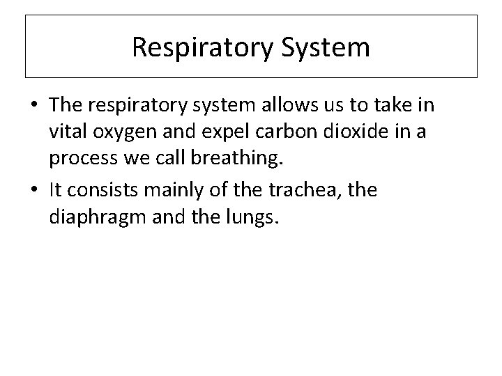 Respiratory System • The respiratory system allows us to take in vital oxygen and