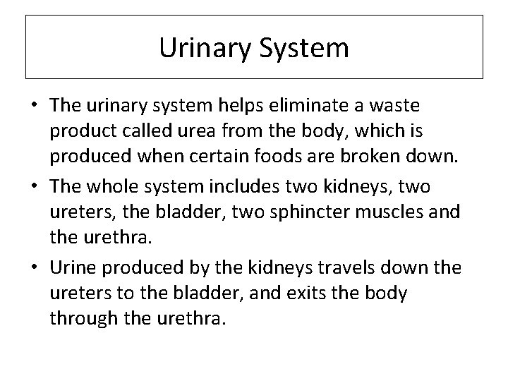 Urinary System • The urinary system helps eliminate a waste product called urea from