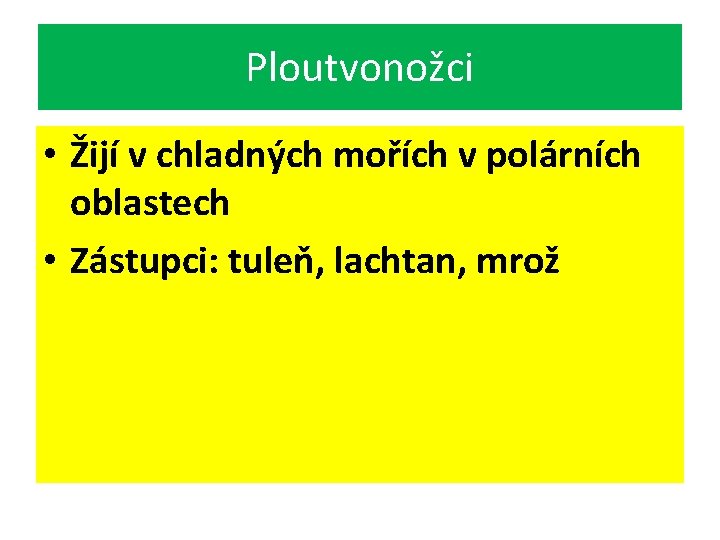 Ploutvonožci • Žijí v chladných mořích v polárních oblastech • Zástupci: tuleň, lachtan, mrož