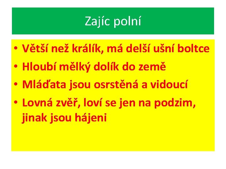 Zajíc polní • • Větší než králík, má delší ušní boltce Hloubí mělký dolík