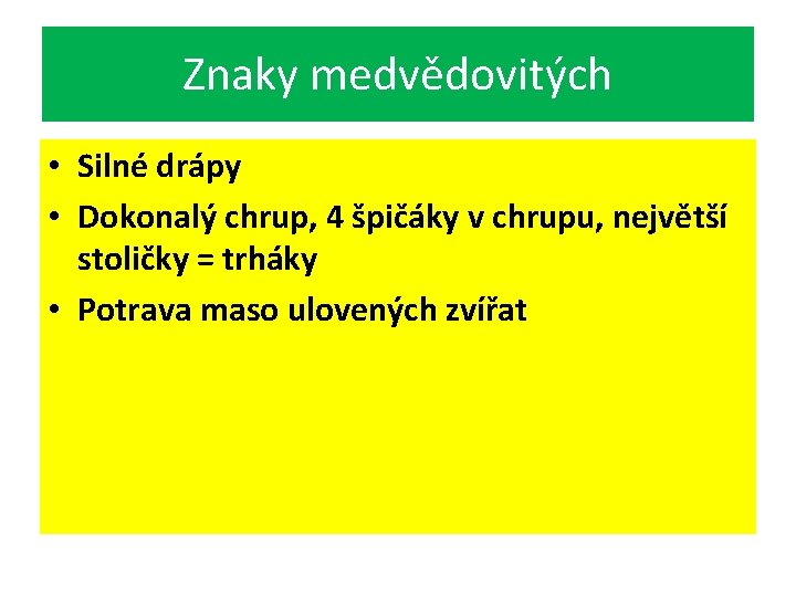 Znaky medvědovitých • Silné drápy • Dokonalý chrup, 4 špičáky v chrupu, největší stoličky