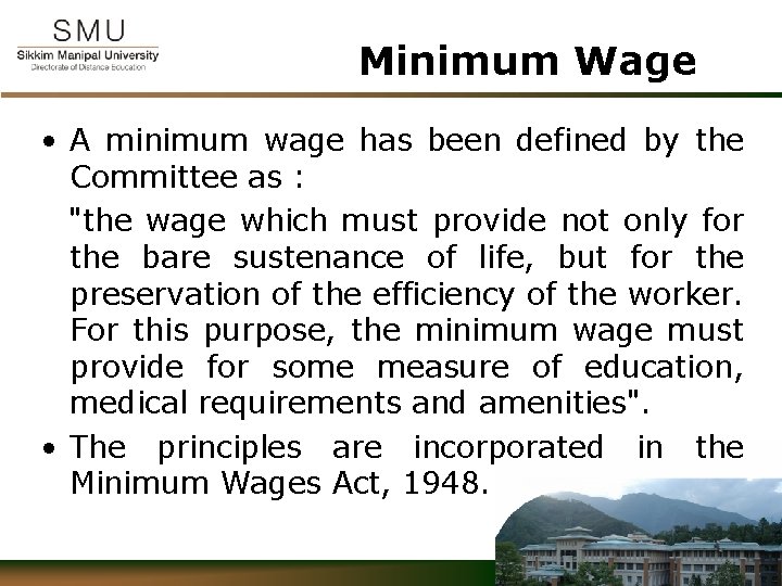 Minimum Wage • A minimum wage has been defined by the Committee as :