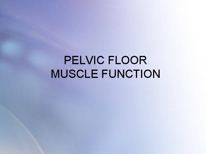 PELVIC FLOOR MUSCLE FUNCTION PELVIC FLOOR MUSCLE FUNCTION