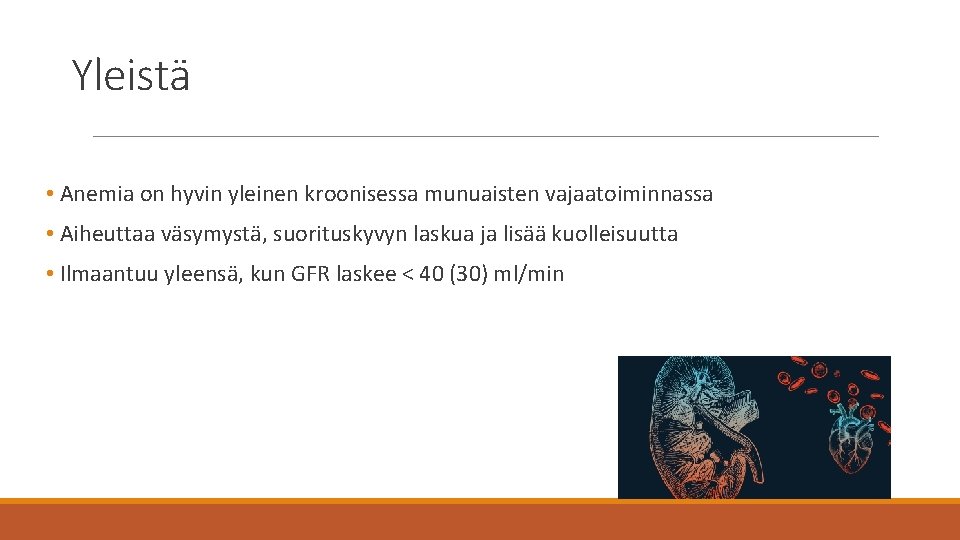 Yleistä • Anemia on hyvin yleinen kroonisessa munuaisten vajaatoiminnassa • Aiheuttaa väsymystä, suorituskyvyn laskua