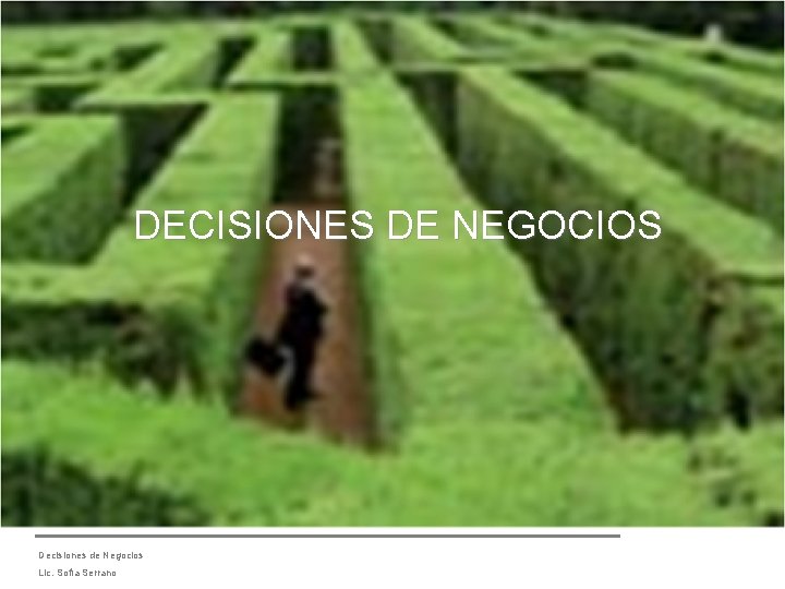 DECISIONES DE NEGOCIOS Decisiones de Negocios Lic. Sofía Serrano 