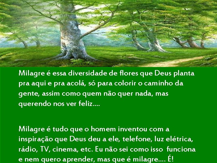 Milagre é essa diversidade de flores que Deus planta pra aqui e pra acolá,