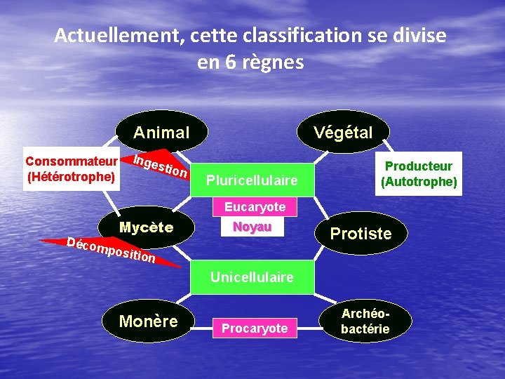 Actuellement, cette classification se divise en 6 règnes Animal Consommateur (Hétérotrophe) Végétal Inge stion