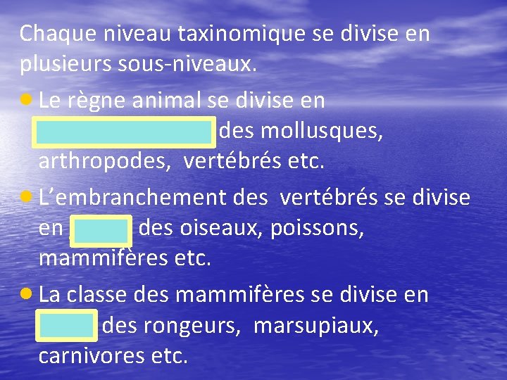 Chaque niveau taxinomique se divise en plusieurs sous-niveaux. Le règne animal se divise en