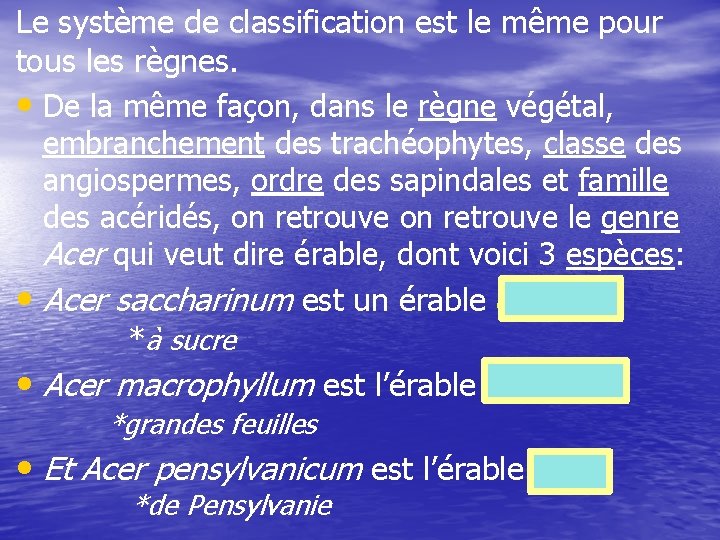 Le système de classification est le même pour tous les règnes. • De la