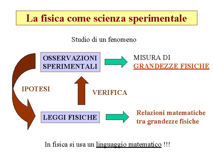 La fisica come scienza sperimentale Studio di un fenomeno OSSERVAZIONI SPERIMENTALI IPOTESI MISURA DI