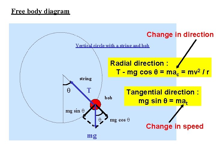 Free body diagram Change in direction Vertical circle with a string and bob Radial