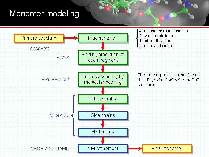 Monomer modeling Fragmentation Primary structure Swiss. Prot Fugue Folding prediction of each fragment ESCHER