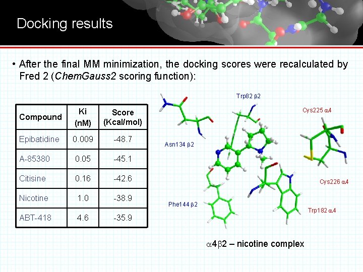 Docking results • After the final MM minimization, the docking scores were recalculated by