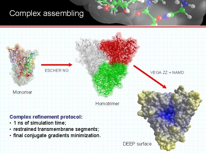 Complex assembling ESCHER NG VEGA ZZ + NAMD Monomer Homotrimer Complex refinement protocol: •