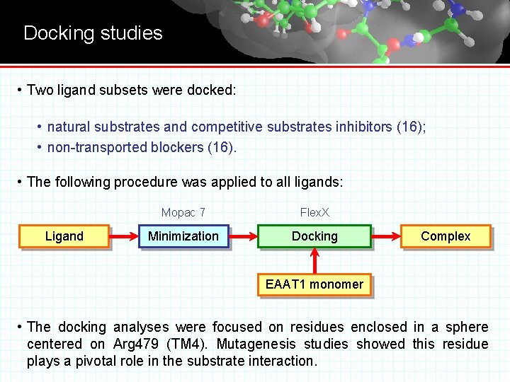 Docking studies • Two ligand subsets were docked: • natural substrates and competitive substrates