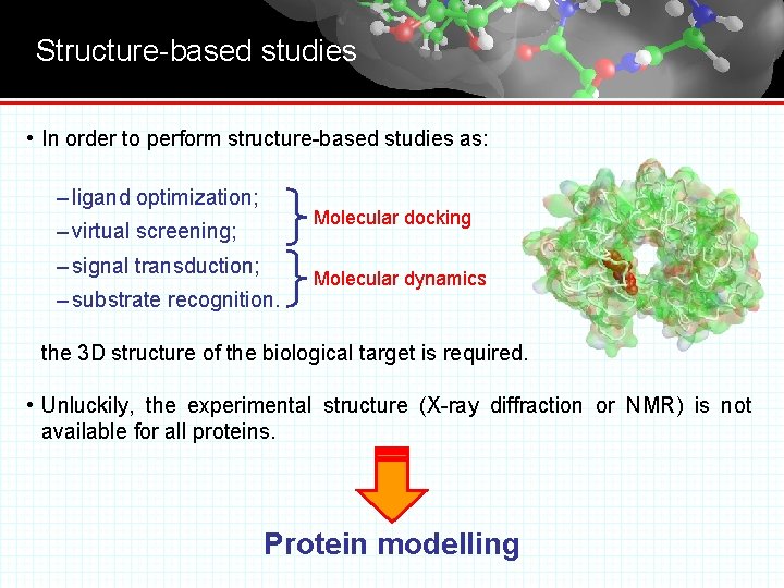 Structure-based studies • In order to perform structure-based studies as: – ligand optimization; Molecular
