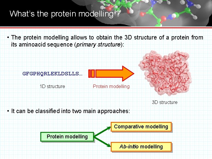 What’s the protein modelling ? • The protein modelling allows to obtain the 3