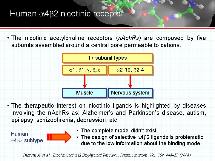Human a 4 b 2 nicotinic receptor • The nicotinic acetylcholine receptors (n. Ach.