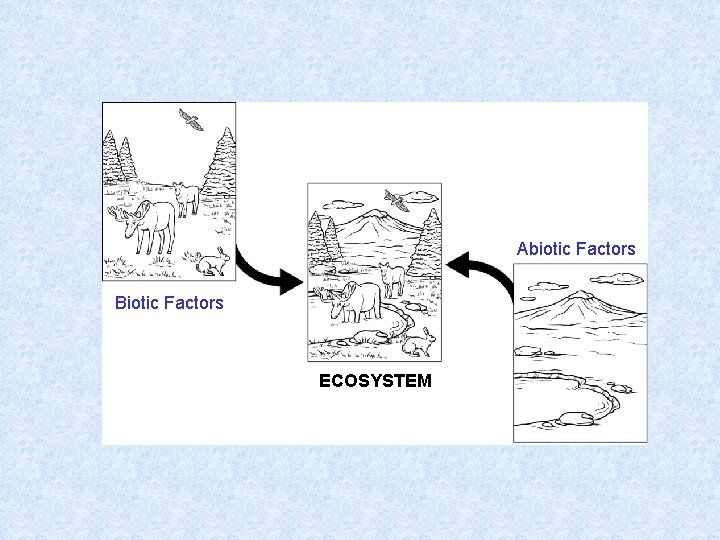 Abiotic Factors Biotic Factors ECOSYSTEM 