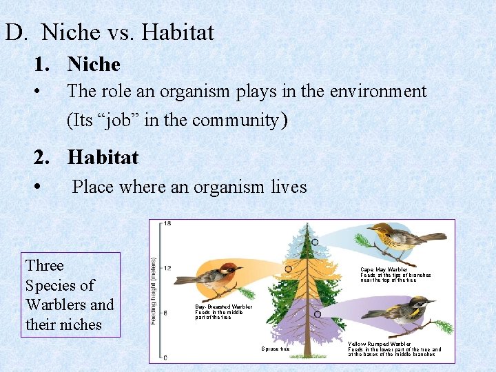 D. Niche vs. Habitat 1. Niche • The role an organism plays in the