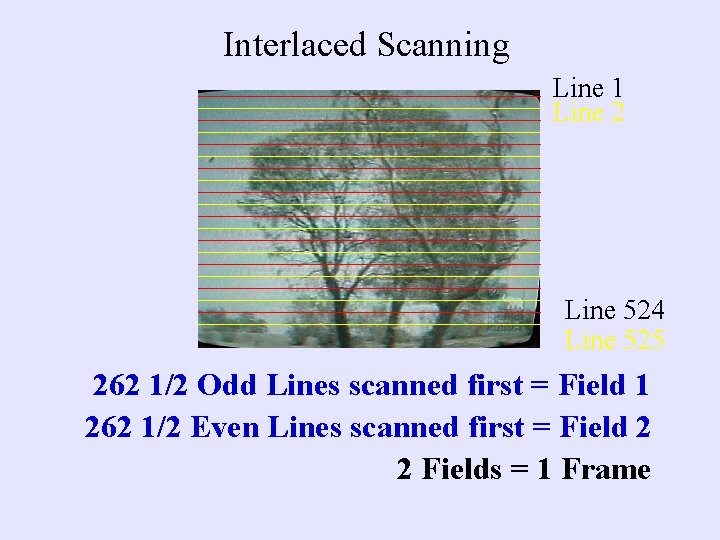 Interlaced Scanning Line 1 Line 2 Line 524 Line 525 262 1/2 Odd Lines