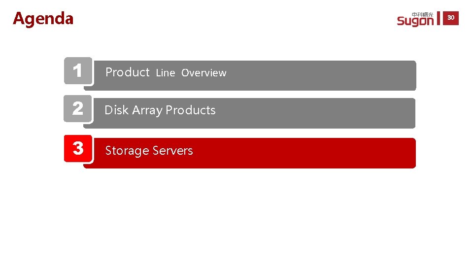 Agenda 30 1 Product Line Overview 2 Disk Array Products 3 Storage Servers 