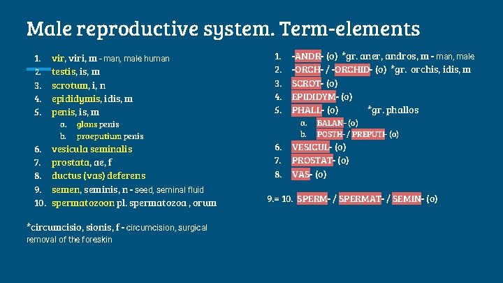 Male reproductive system. Term-elements 1. 2. 3. 4. 5. vir, viri, m - man,