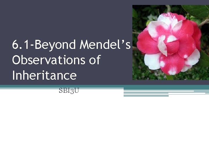 6. 1 -Beyond Mendel’s Observations of Inheritance SBI 3 U 