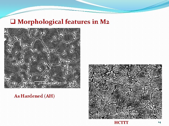 q Morphological features in M 2 As Hardened (AH) HCTTT 14 