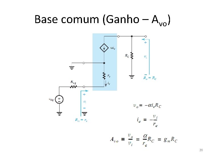 Base comum (Ganho – Avo) 20 Base comum (Ganho – Avo) 20