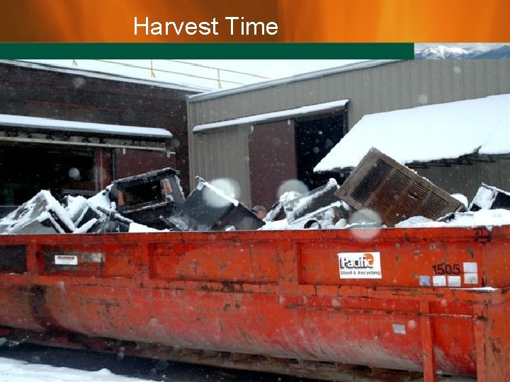 Harvest Time 