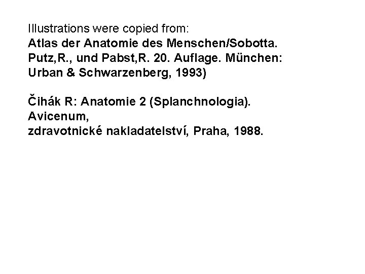 Illustrations were copied from: Atlas der Anatomie des Menschen/Sobotta. Putz, R. , und Pabst,