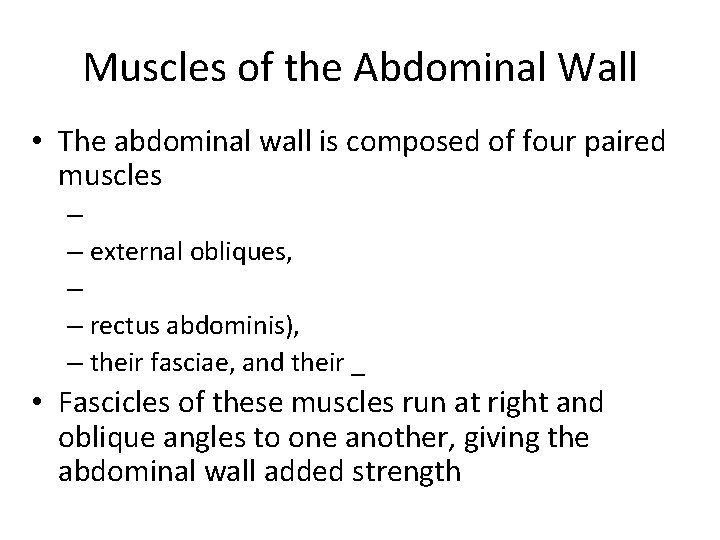 Muscles of the Abdominal Wall • The abdominal wall is composed of four paired