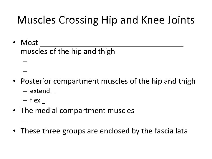 Muscles Crossing Hip and Knee Joints • Most __________________ muscles of the hip and