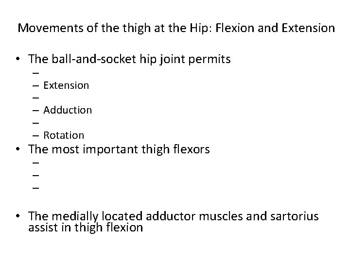 Movements of the thigh at the Hip: Flexion and Extension • The ball-and-socket hip