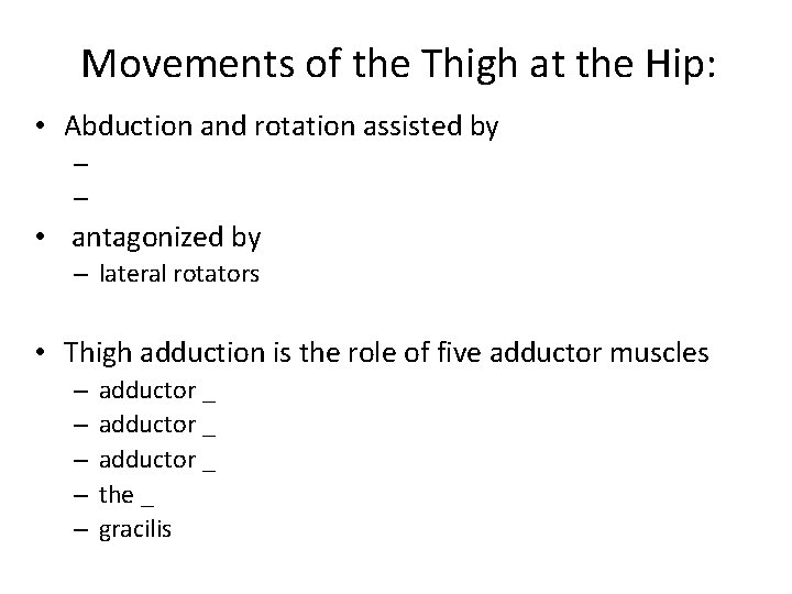 Movements of the Thigh at the Hip: • Abduction and rotation assisted by –