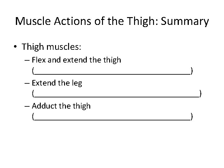 Muscle Actions of the Thigh: Summary • Thigh muscles: – Flex and extend the