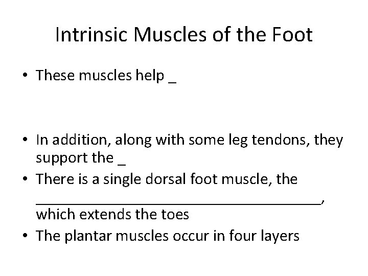 Intrinsic Muscles of the Foot • These muscles help _ • In addition, along