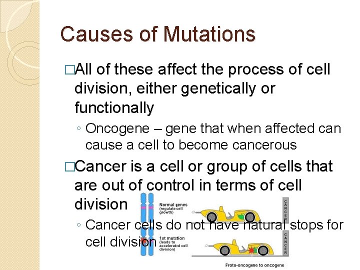 Causes of Mutations �All of these affect the process of cell division, either genetically