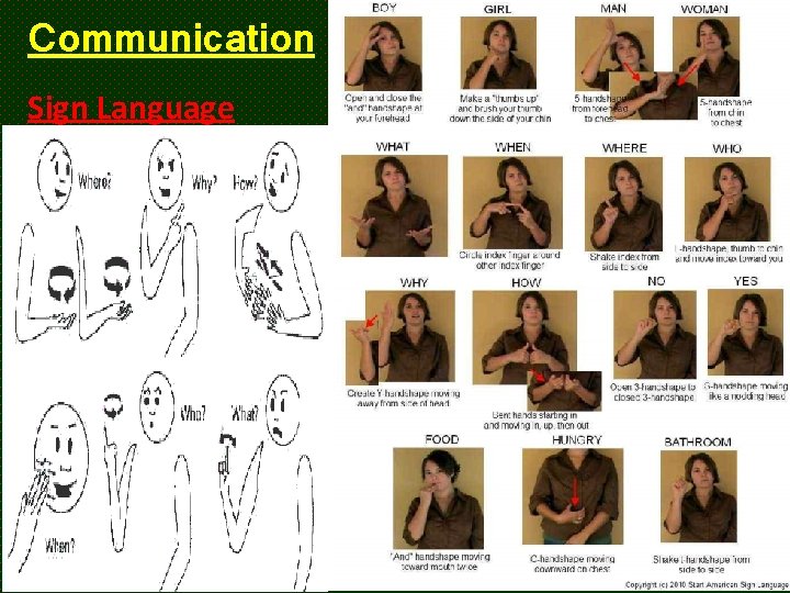 Communication Sign Language 