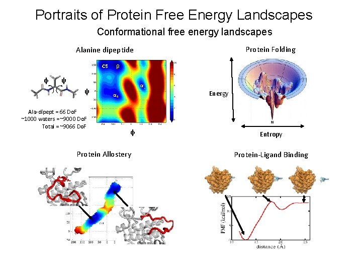 Portraits of Protein Free Energy Landscapes Conformational free energy landscapes Protein Folding Alanine dipeptide