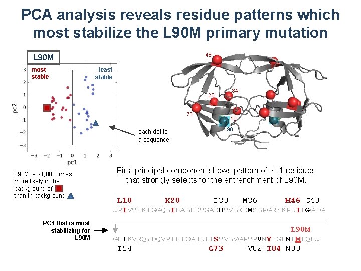 PCA analysis reveals residue patterns which most stabilize the L 90 M primary mutation