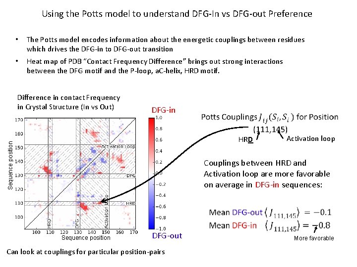 Using the Potts model to understand DFG-In vs DFG-out Preference • The Potts model