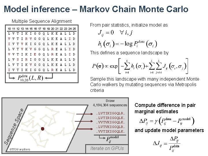 Model inference – Markov Chain Monte Carlo Multiple Sequence Alignment 10 11 12 13
