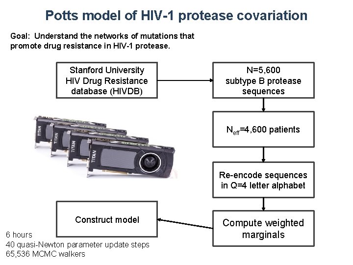 Potts model of HIV-1 protease covariation Goal: Understand the networks of mutations that promote