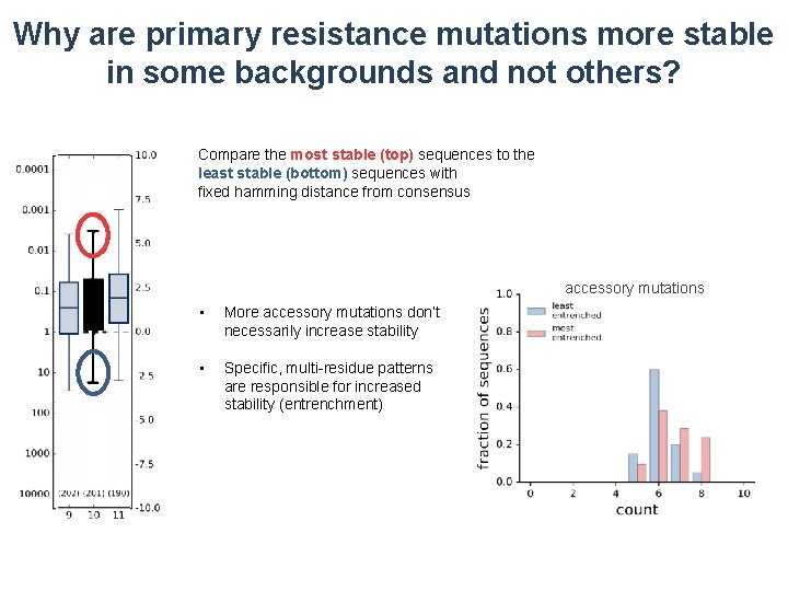 Why are primary resistance mutations more stable in some backgrounds and not others? Compare